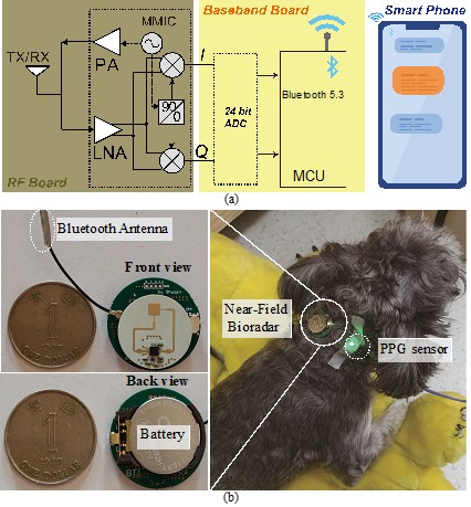 Wearable near-field bioradar for canine pulse monitoring